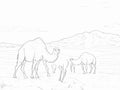A Group Of Camels In The Desert - Camels on the steppes Mongolia Royalty Free Stock Photo