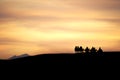 A group of camels and their riders arriving at the top of a sand dune are silhouetted against a dramatic cloudy desert sunset. Royalty Free Stock Photo