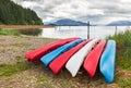 Group Of Canoes On A Beach