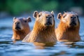 Group of capibaras relaxing in swamp water. Generative AI