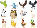 Group of cartoon birds. Vector illustration of funny happy animals.