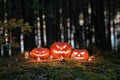 a group of carved pumpkins perched on top of a mound at the edge of a forest Royalty Free Stock Photo