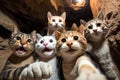 Group of cats in cave. Selective focus. Shallow depth of field