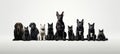Group of cats and dogs of different sizes, isolated on white background studio shot Royalty Free Stock Photo