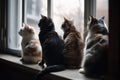 group of cats sitting on windowsill, looking outside Royalty Free Stock Photo