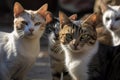 a group of cats, their eyes shining with curiosity, watching the viewer