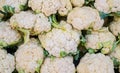 Group of cauliflowers with green leaves Royalty Free Stock Photo