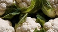 Group of Cauliflowers with Green Leaves Background Selective Focus Royalty Free Stock Photo