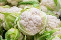 Group of cauliflowers with green leaves at market Royalty Free Stock Photo