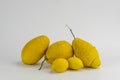 Group of cedars and lemons isolated on white Royalty Free Stock Photo