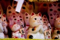 ÃÂ¯ÃÂ»ÃÂ¿Ceramic, Japan, Lucky Cat, Display Cabinet, Jin Yun Laifu