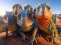 A group of chameleons