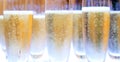 Group of Champagne glasses filled with bubbles Royalty Free Stock Photo