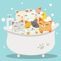 The group of character cute cats taking a bath with bathtub they look very happy .The cats sitting in the bathtub with yellow