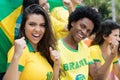 Group of cheering brazilian soccer fans with flag of brazil