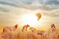 Group of cheetahs in the African savannah against beautiful sky and balloon. Tanzania, Serengeti National Park. Wild life of Afri