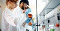 Group of chemistry students working in laboratory Royalty Free Stock Photo