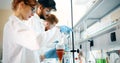 Group of chemistry students working in laboratory Royalty Free Stock Photo