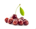 Group of cherries Royalty Free Stock Photo