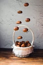 A group of chestnuts falling on a basket full of these fruits. Royalty Free Stock Photo
