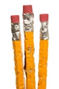 Group Of Chewed Pencils XXXL Isolated