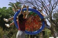 Group of children having fun together, playing on a swing in playground with an adult