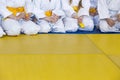 Group of children in kimono sitting on tatami