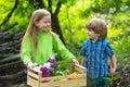 Group of children planting vegetable. Happy children farmers having fun on spring field. Ecology concept child. Royalty Free Stock Photo