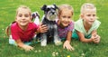 Group of children playing on green grass in spring park Royalty Free Stock Photo