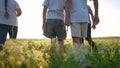 a group of children walk across the field on the grass. happy family kid dream concept. children walking in a field with Royalty Free Stock Photo