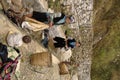 Group of children and women Blue Hmong