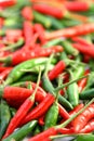 Group of Chilli Royalty Free Stock Photo