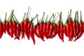 A group of chillies