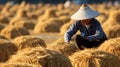 Group of Chinese Farmers Wearing Traditional Straw Hats Harvesting Crops in Beautiful Rice Fields