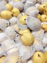 Group of Chinese pear in supermarket Royalty Free Stock Photo