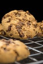 A group of chocolate chip cookie biscuits on a metal baking rack