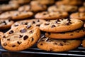 a group of chocolate chip cookies on a cooling rack Royalty Free Stock Photo