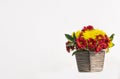 group of chrysanthemum flower red and yellow blooming in ceramic vase. Isolated on white concrete wall background. pretty gift