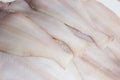 A group of clean and raw fresh flatfish megrim. Royalty Free Stock Photo