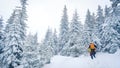 Group of climbers walking the trail in winter mountains