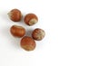 group of Close up huzelnut on white background.