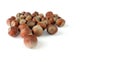 group of Close up huzelnut on white background.