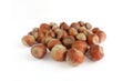 group of Close up huzelnut on white background.Macro photo with depth of field blur.