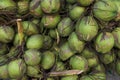 Group of coconuts for background Royalty Free Stock Photo