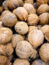Group of coconuts background stacked Royalty Free Stock Photo