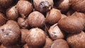 Group Of Coconuts. Close-up Red Coconuts Texture Royalty Free Stock Photo