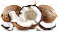 A group of coconuts are cut open and sitting on a white background, AI Royalty Free Stock Photo