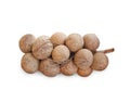 Group of Coconuts Shell Isolate in White Background Royalty Free Stock Photo