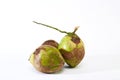 Group coconuts on white background Royalty Free Stock Photo