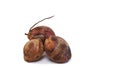 Group coconuts on white background Royalty Free Stock Photo